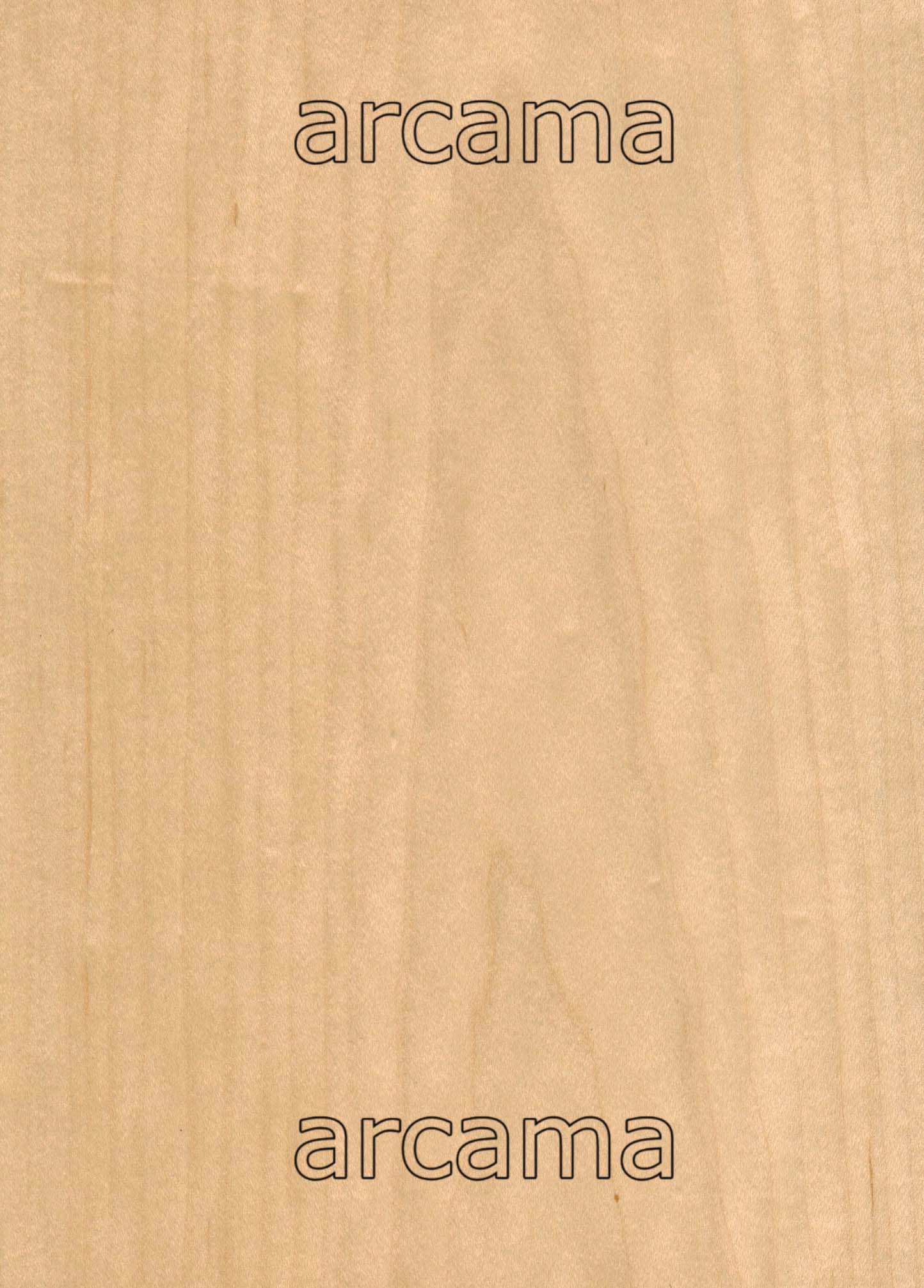 ARCE-MAPLE