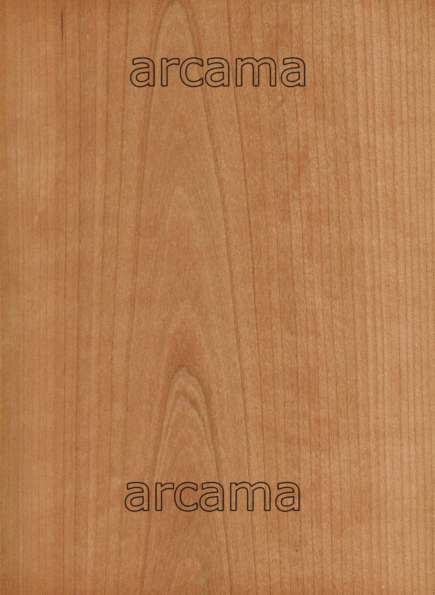 CEREZO AMERICANO