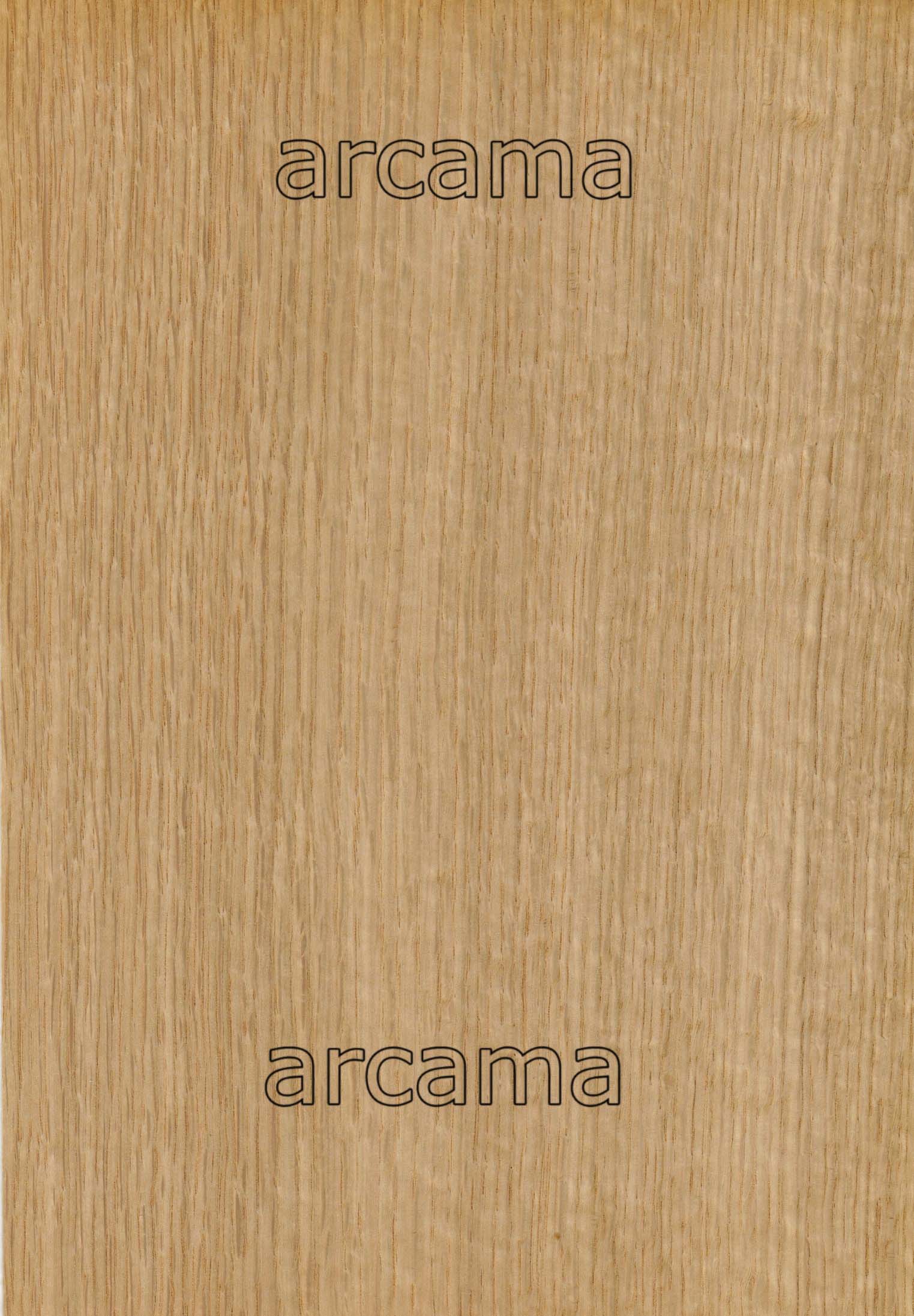 ROBLE AMERICANO MALLADO
